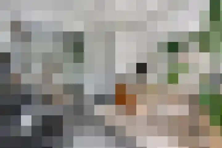 Amsterdamseweg 46 Ede thumbnail 6