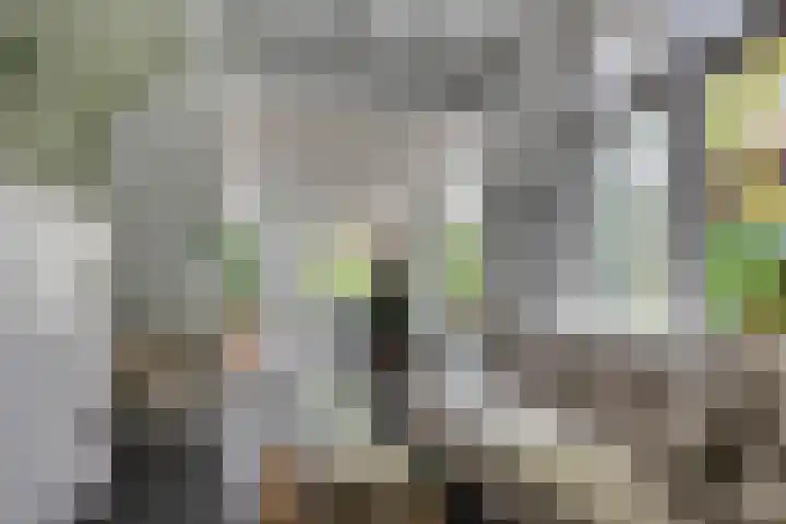 Amsterdamseweg 46 Ede thumbnail 9