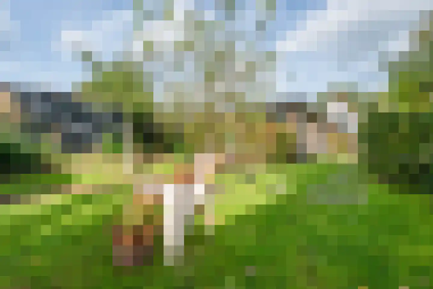 Amsterdamseweg 47 Velsen-Zuid thumbnail 33