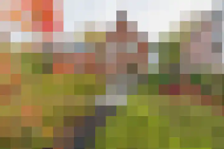 Amsterdamseweg 481 A Amstelveen thumbnail 17
