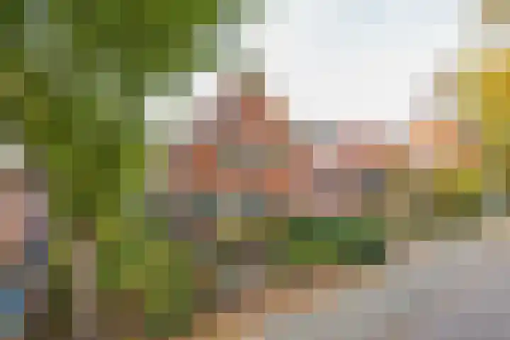 Amsterdamseweg 481 A Amstelveen thumbnail 51