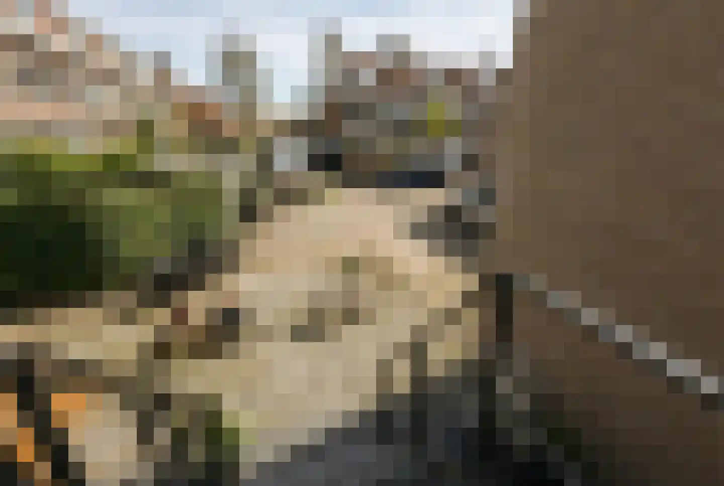 Amsterdamseweg 524 A Amstelveen thumbnail 10