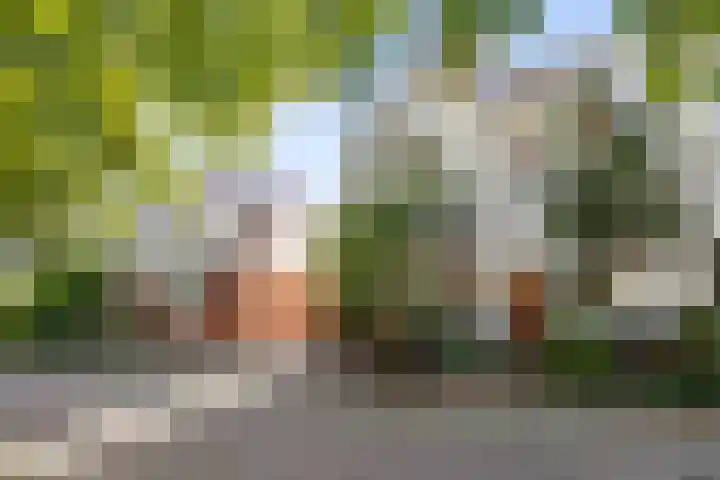 Amsterdamseweg 529 Amstelveen thumbnail 51