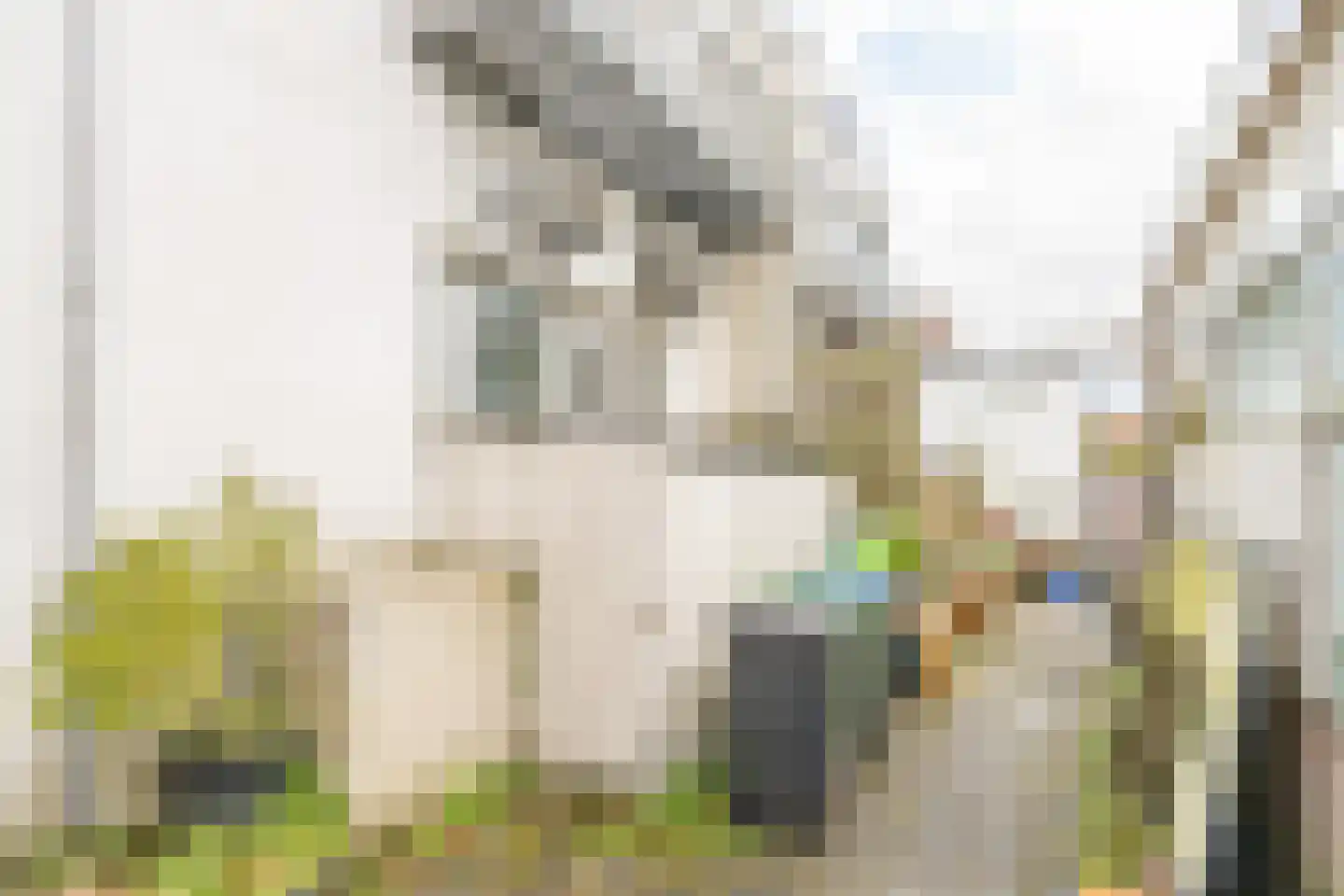 Amsterdamseweg 533 Amstelveen thumbnail 55