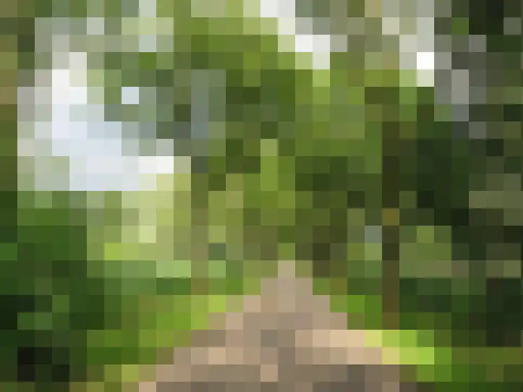 Amsterdamseweg 576 A Amstelveen thumbnail 55