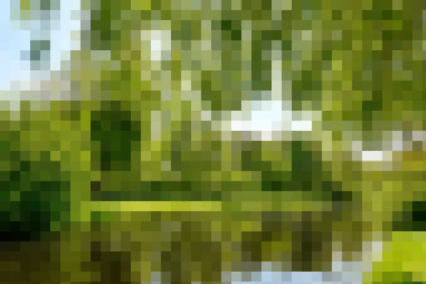 Amsterdamseweg 576 A Amstelveen thumbnail 56