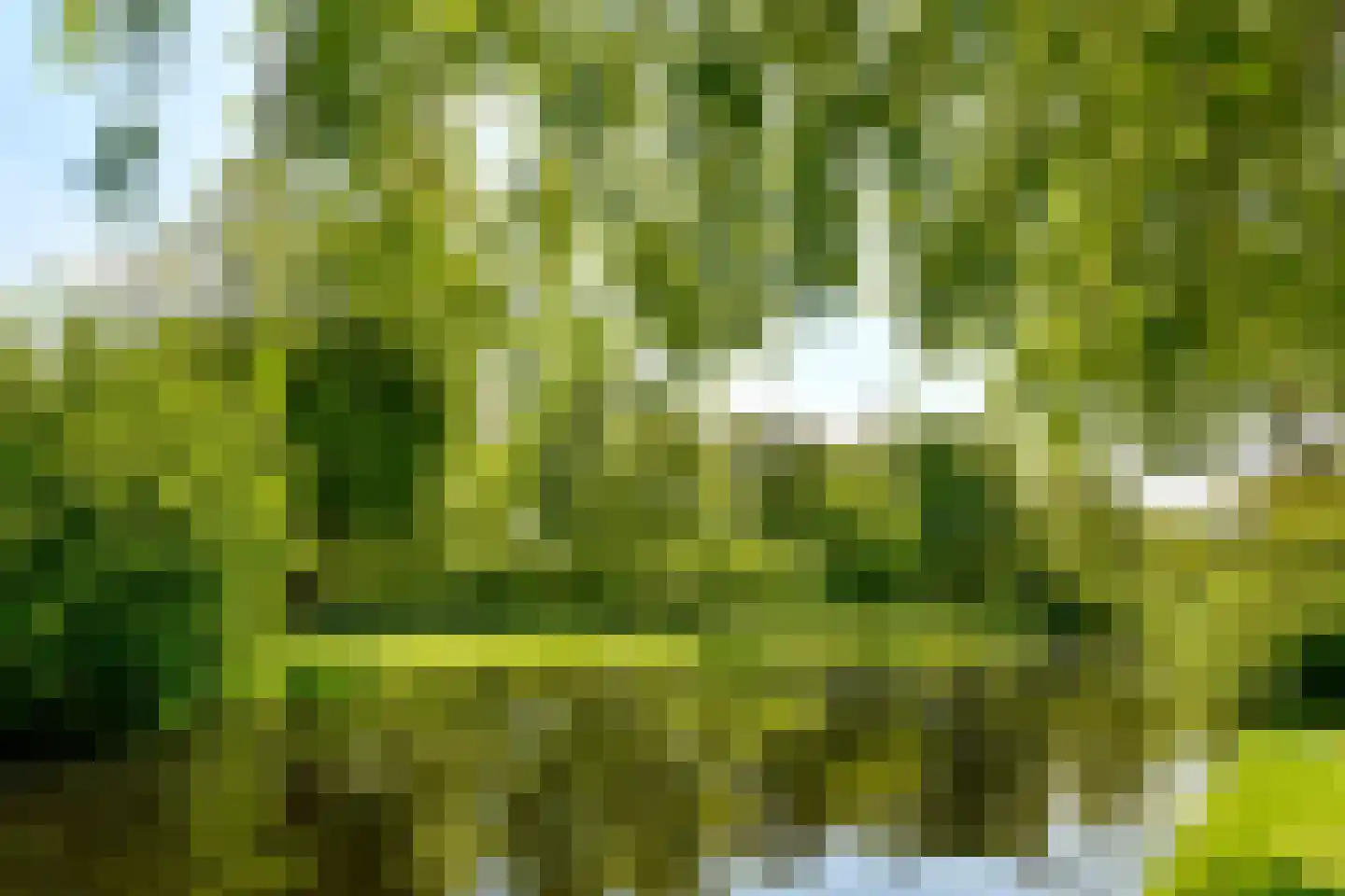 Amsterdamseweg 576 A Amstelveen thumbnail 56