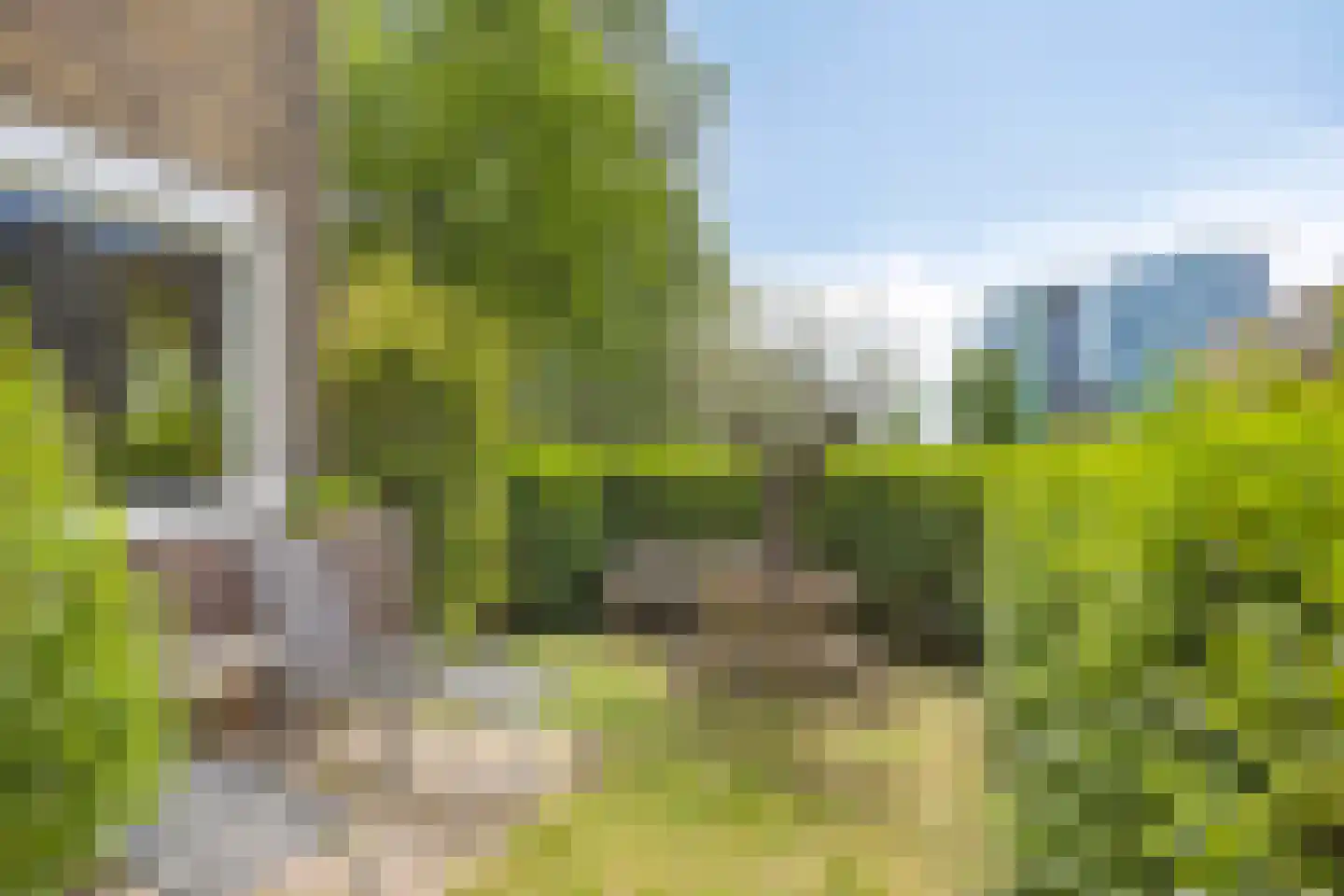 Amsterdamseweg 74 Arnhem thumbnail 28