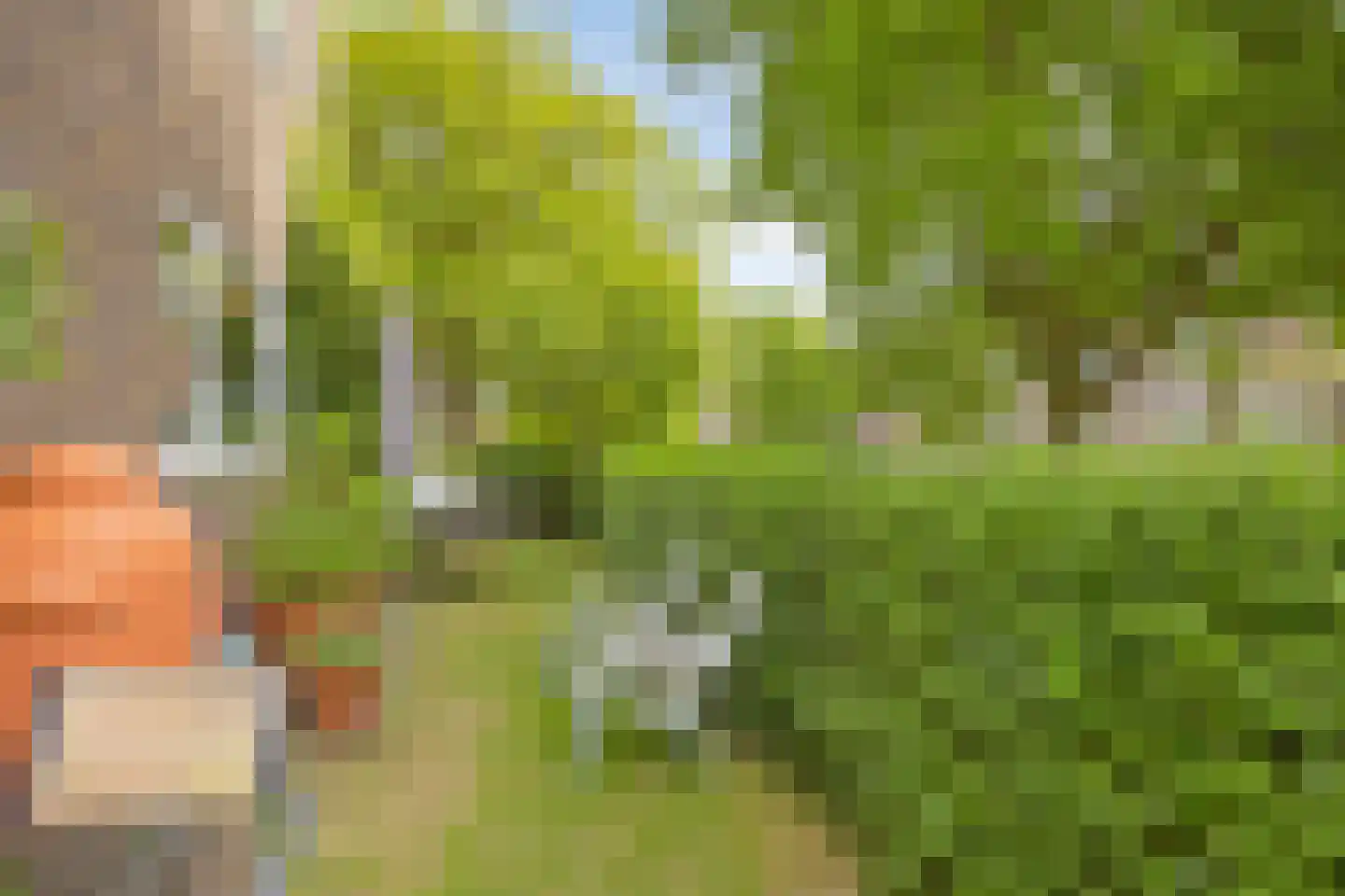 Amsterdamseweg 74 Arnhem thumbnail 30