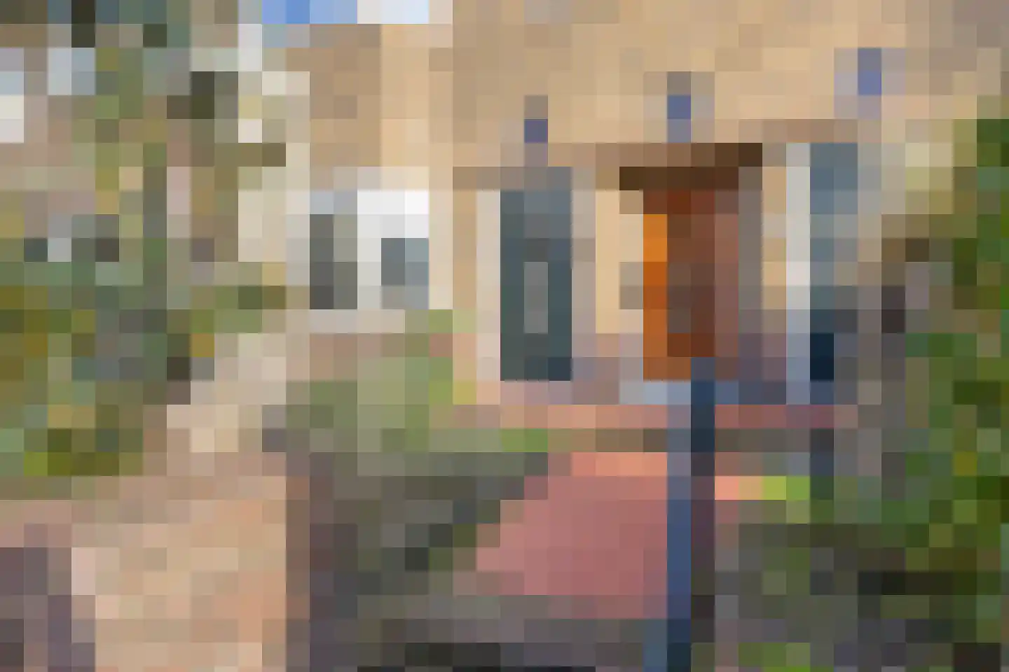 Amsterdamseweg 76 Arnhem thumbnail 34