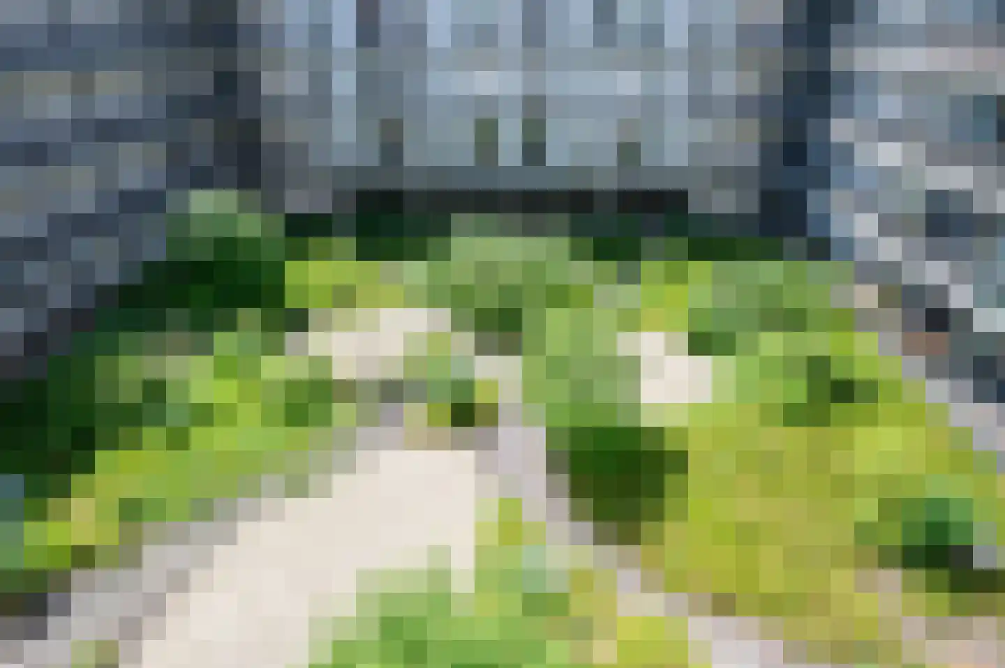 Amsterdamseweg 8 E Amersfoort thumbnail 24