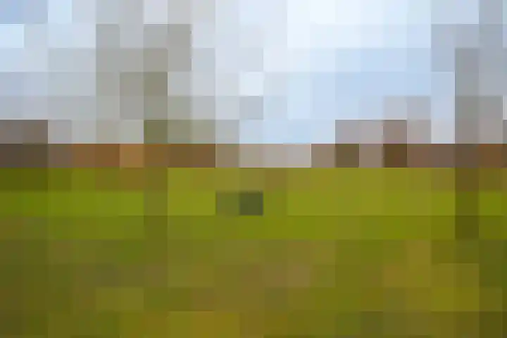Amsterdamweg 28 Almere thumbnail 33