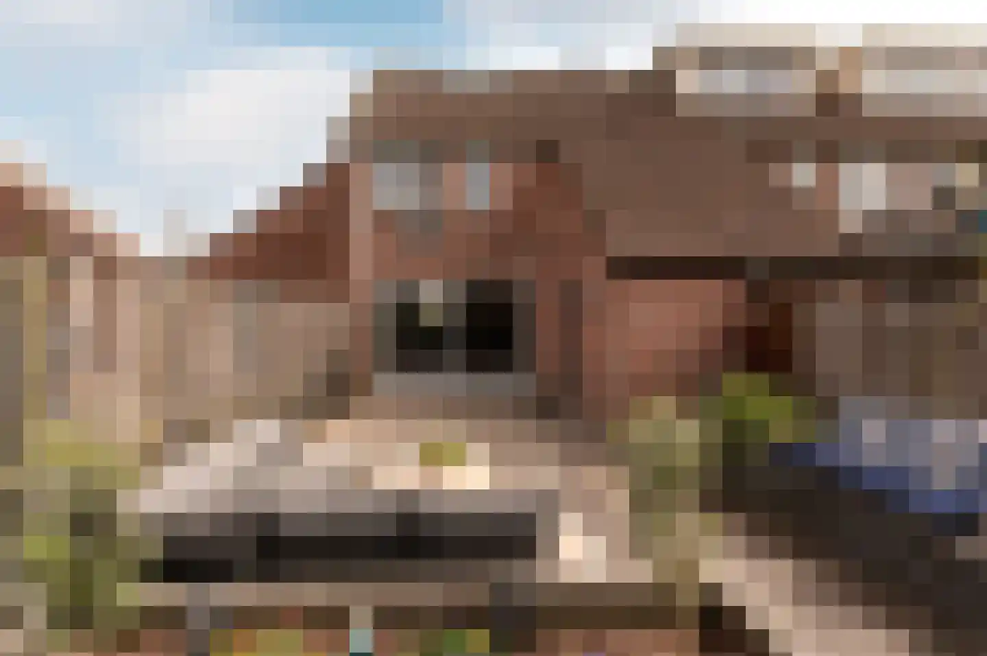 Amsterdamweg 46 Almere thumbnail 5
