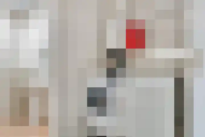Amundsenlaan 10 Eindhoven thumbnail 32