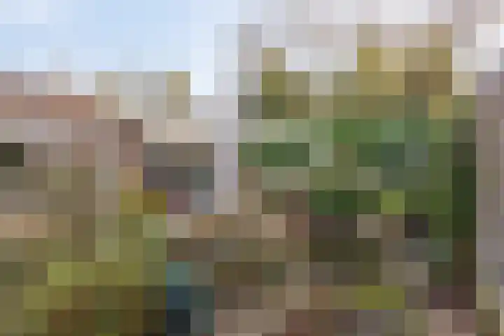 Amundsenlaan 10 Eindhoven thumbnail 34
