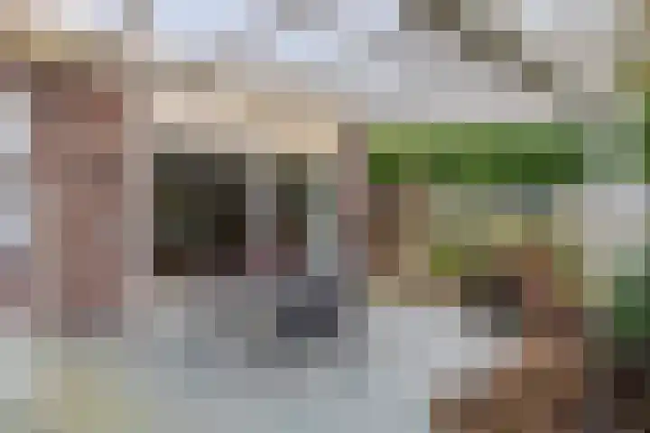 Amundsenlaan 10 Eindhoven thumbnail 35
