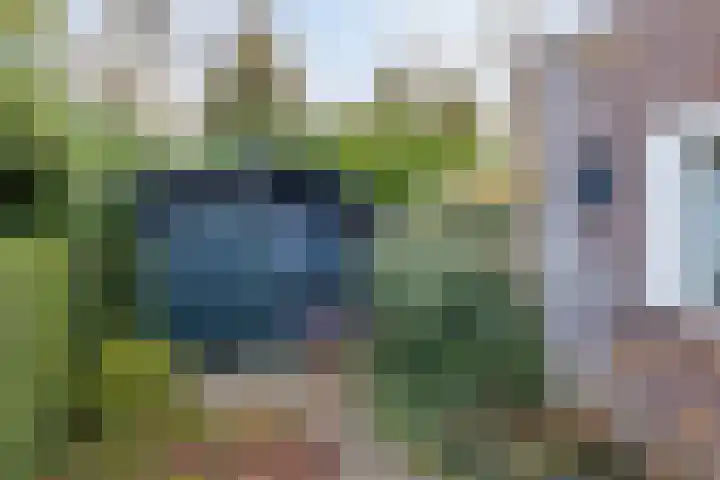Amundsenlaan 10 Eindhoven thumbnail 40