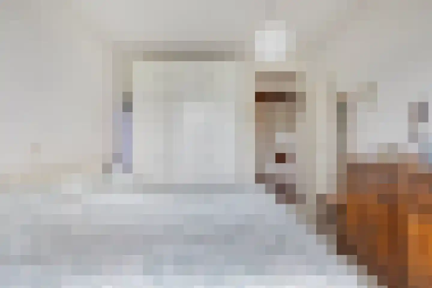 Amundsenlaan 111 Eindhoven thumbnail 24
