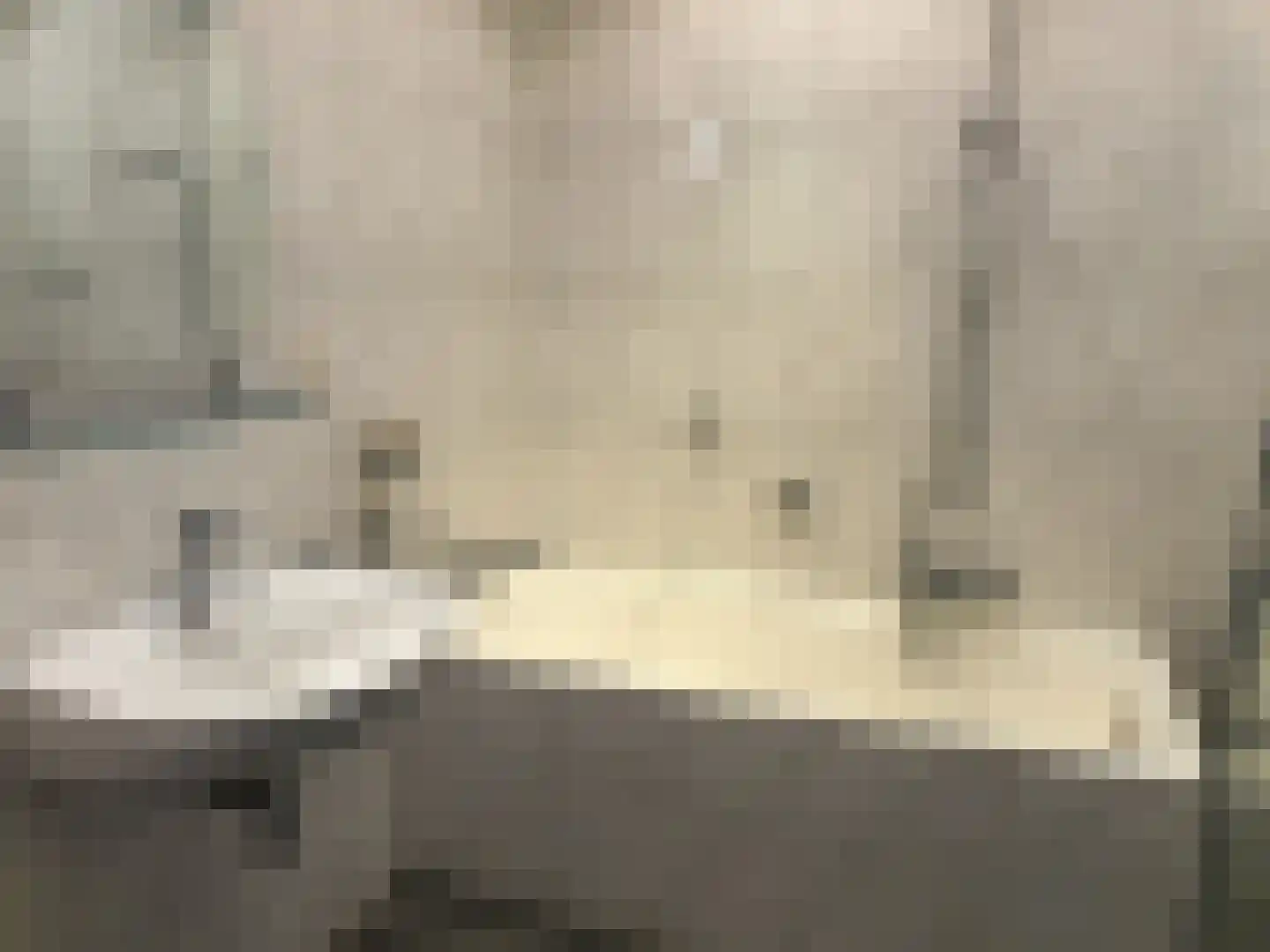 Amundsenlaan 111 Eindhoven thumbnail 26