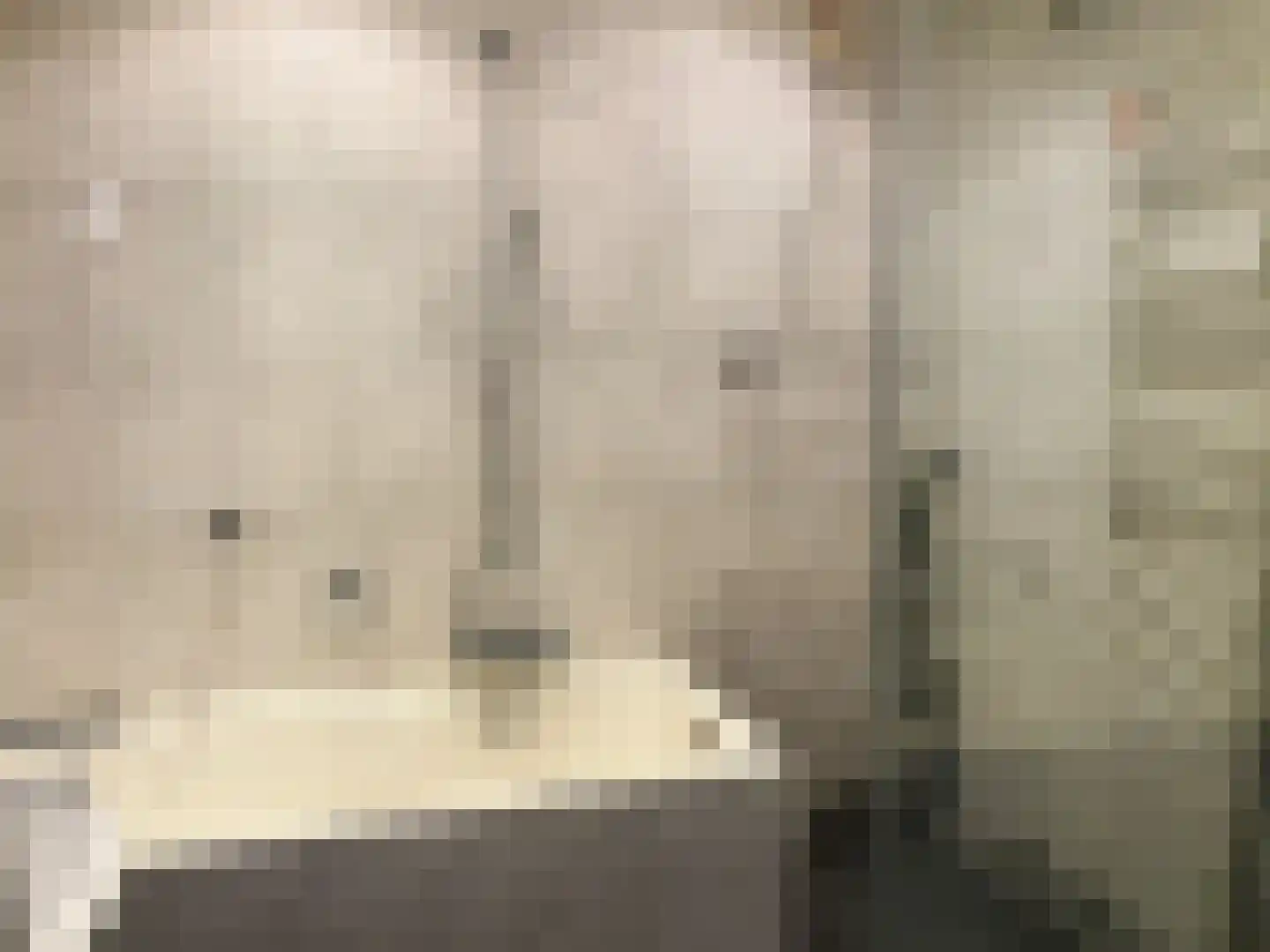 Amundsenlaan 111 Eindhoven thumbnail 27