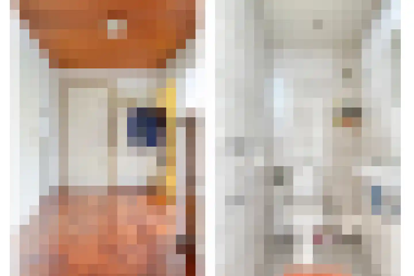 Amundsenlaan 111 Eindhoven thumbnail 30