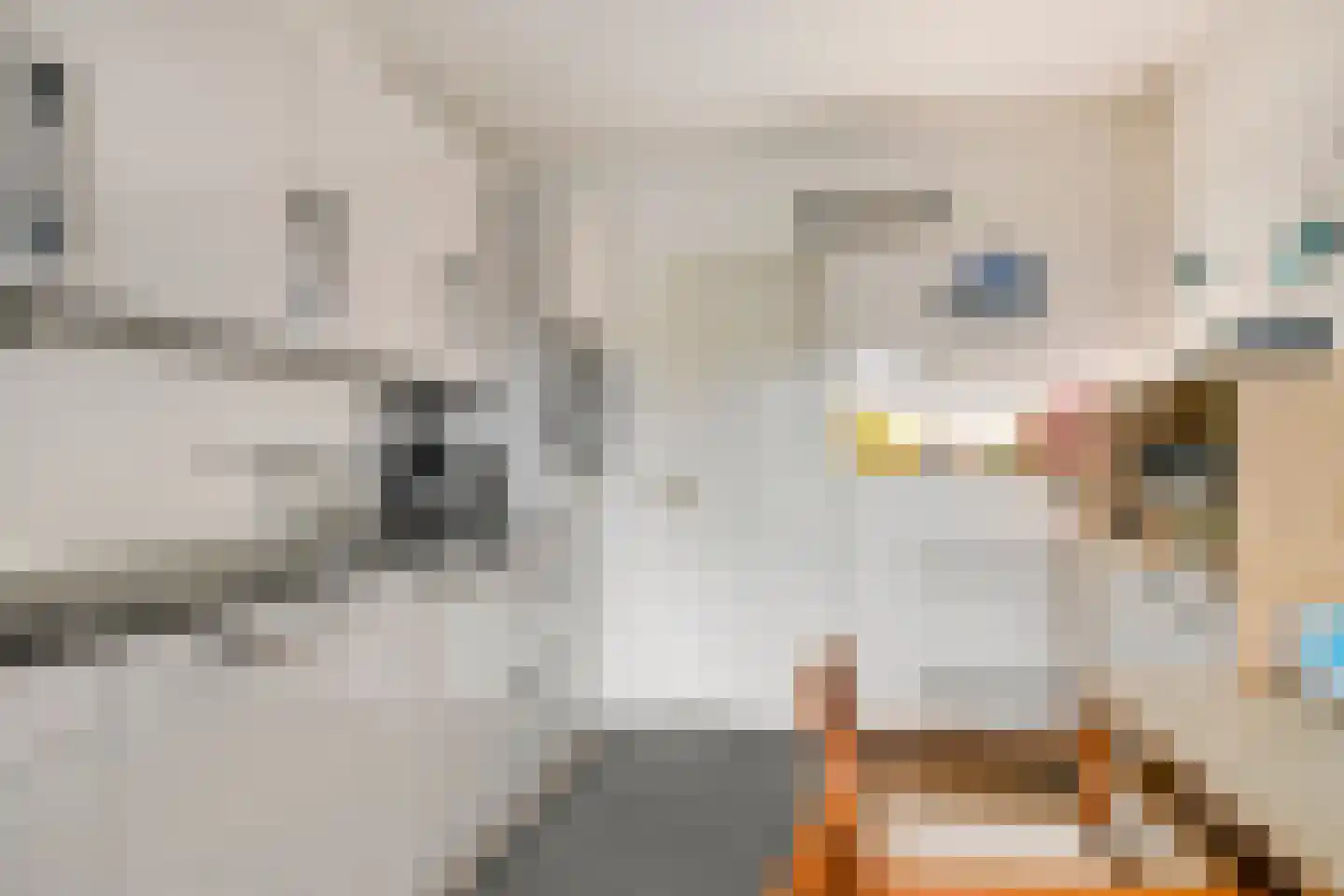 Amundsenlaan 129 Eindhoven thumbnail 19