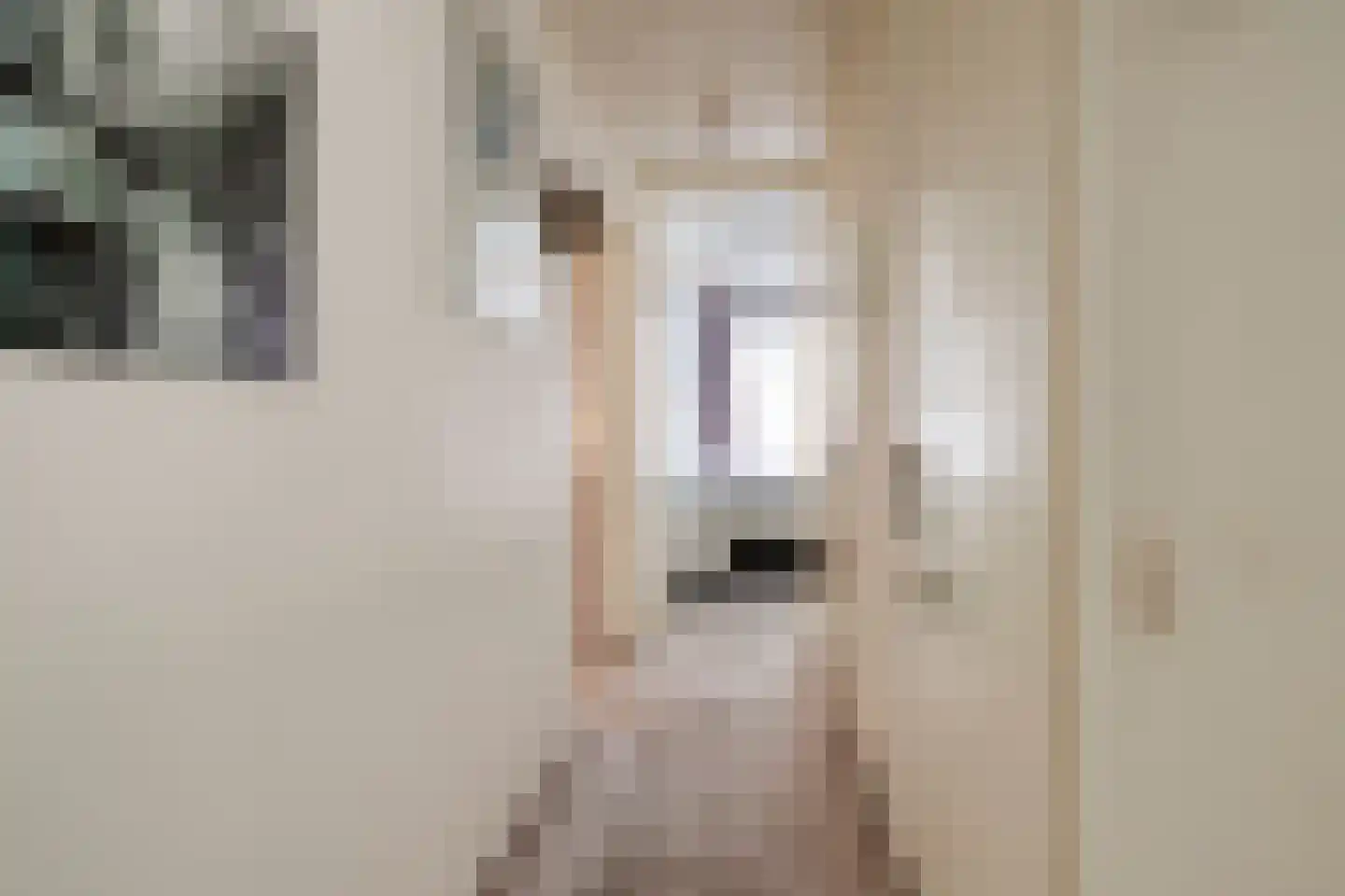 Amundsenlaan 129 Eindhoven thumbnail 20
