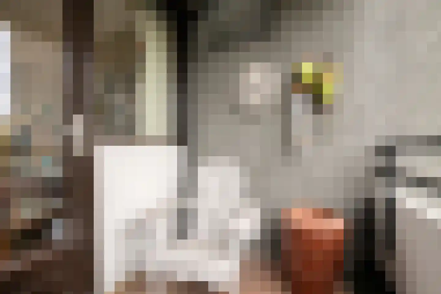 Amundsenlaan 129 Eindhoven thumbnail 29