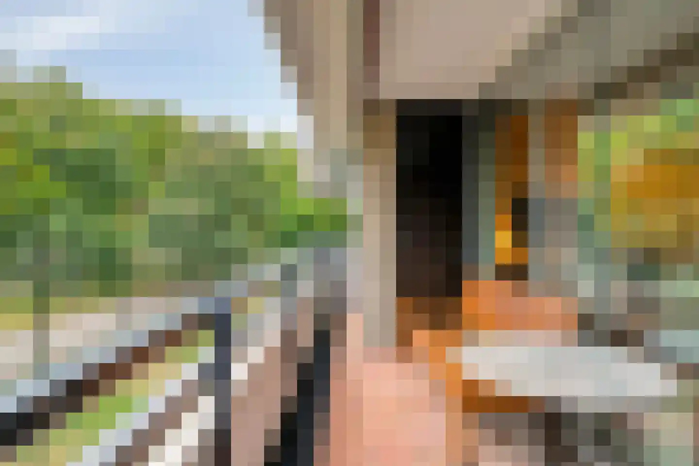 Amundsenlaan 129 Eindhoven thumbnail 5
