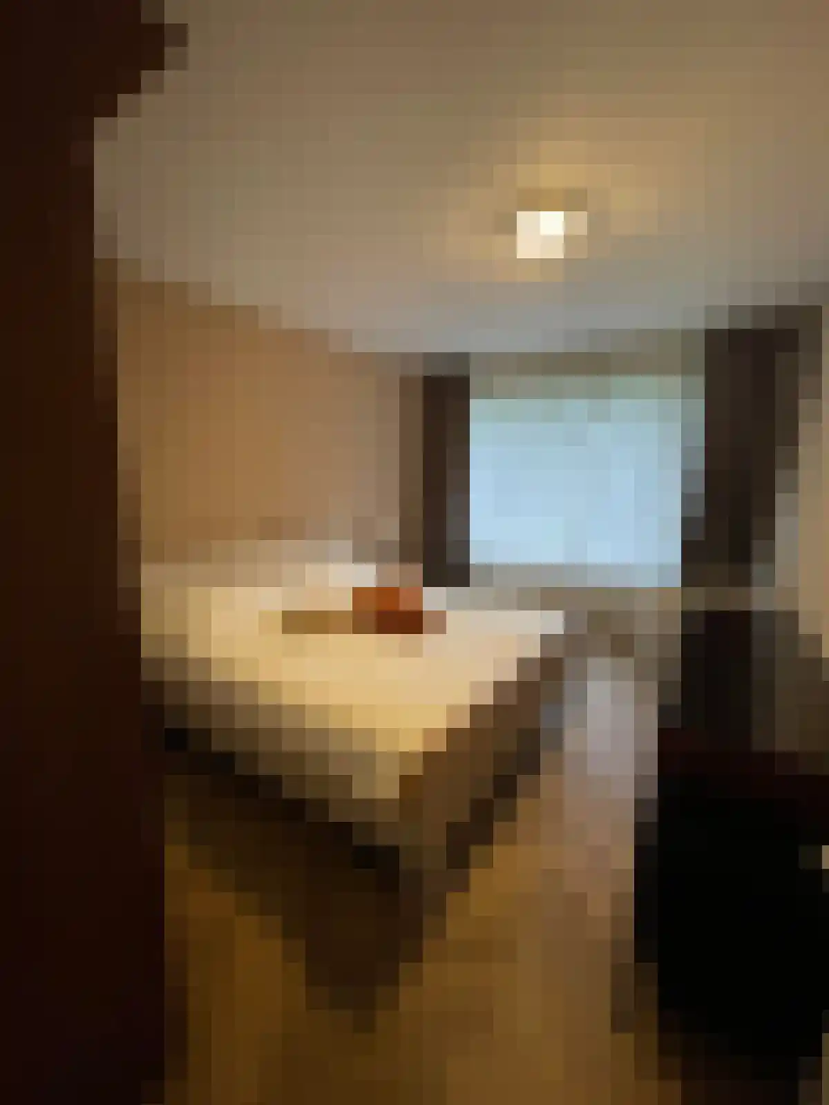 Amundsenlaan 133 Eindhoven thumbnail 4