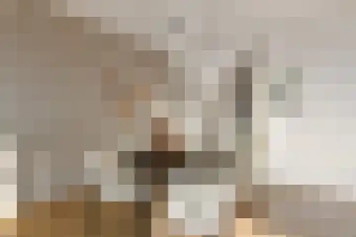 Amundsenlaan 147 Eindhoven thumbnail 10