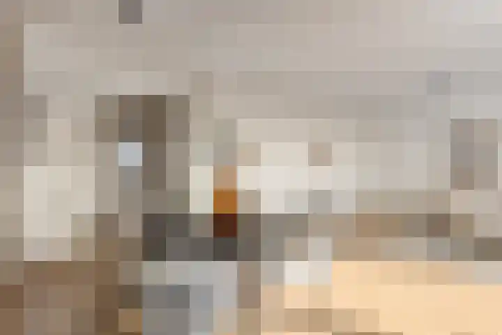 Amundsenlaan 147 Eindhoven thumbnail 11