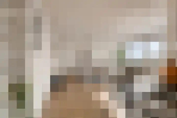 Amundsenlaan 147 Eindhoven thumbnail 12