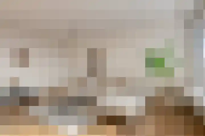 Amundsenlaan 147 Eindhoven thumbnail 13