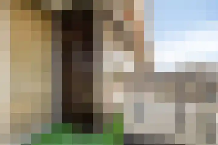 Amundsenlaan 147 Eindhoven thumbnail 17