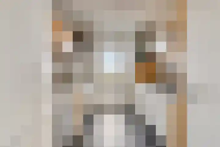 Amundsenlaan 147 Eindhoven thumbnail 19