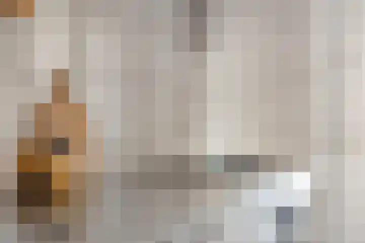 Amundsenlaan 147 Eindhoven thumbnail 20