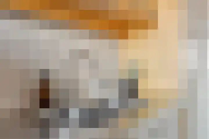 Amundsenlaan 147 Eindhoven thumbnail 21