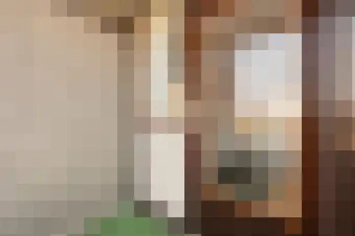 Amundsenlaan 147 Eindhoven thumbnail 22