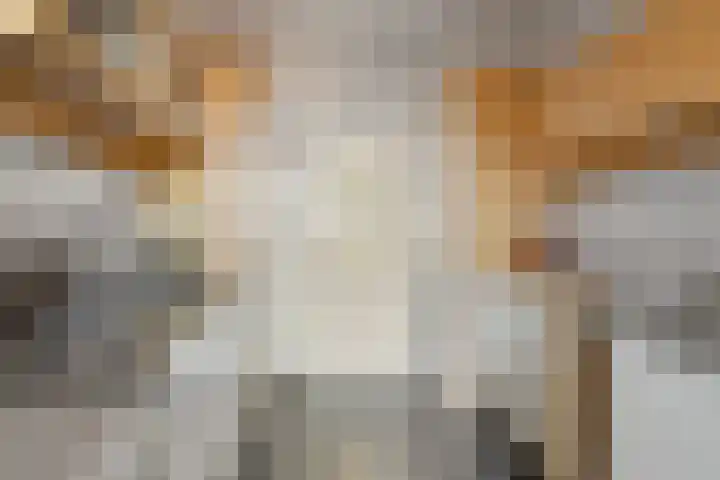 Amundsenlaan 147 Eindhoven thumbnail 23