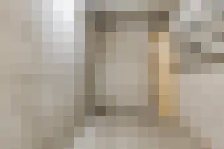 Amundsenlaan 147 Eindhoven thumbnail 33