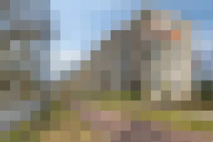 Amundsenlaan 147 Eindhoven thumbnail 34