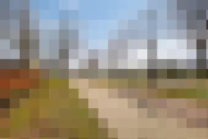 Amundsenlaan 147 Eindhoven thumbnail 39