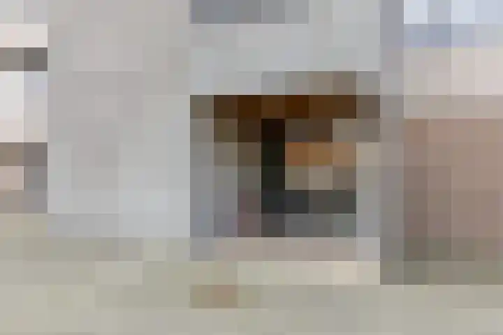 Amundsenlaan 147 Eindhoven thumbnail 4