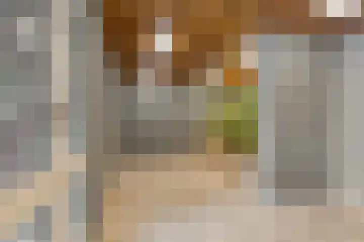 Amundsenlaan 147 Eindhoven thumbnail 6