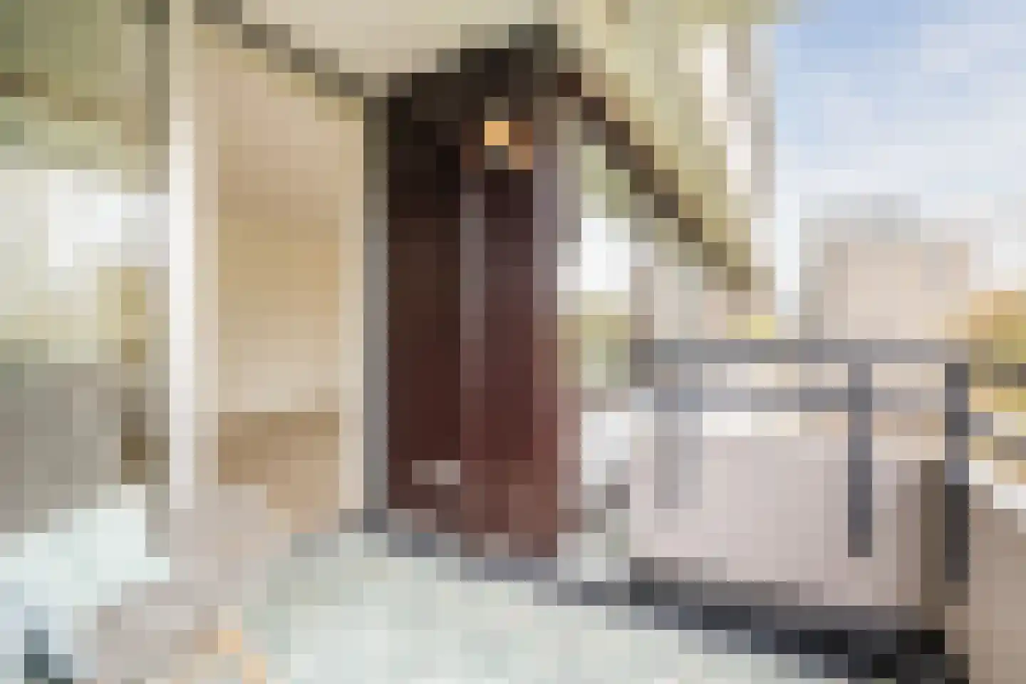 Amundsenlaan 171 Eindhoven thumbnail 33