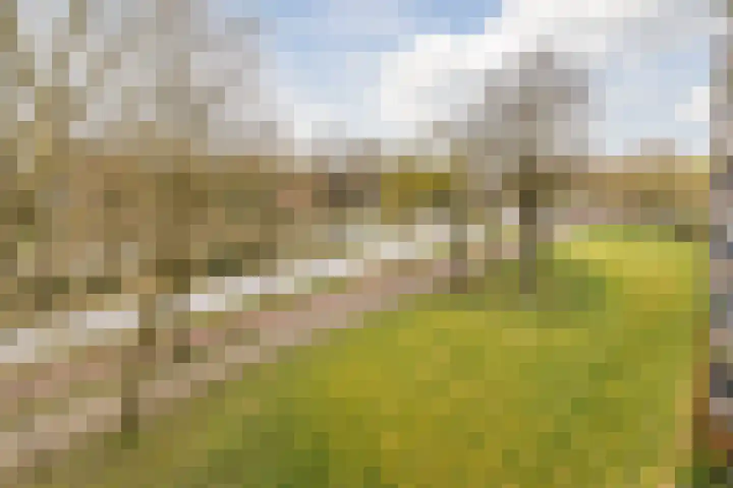Amundsenlaan 171 Eindhoven thumbnail 34