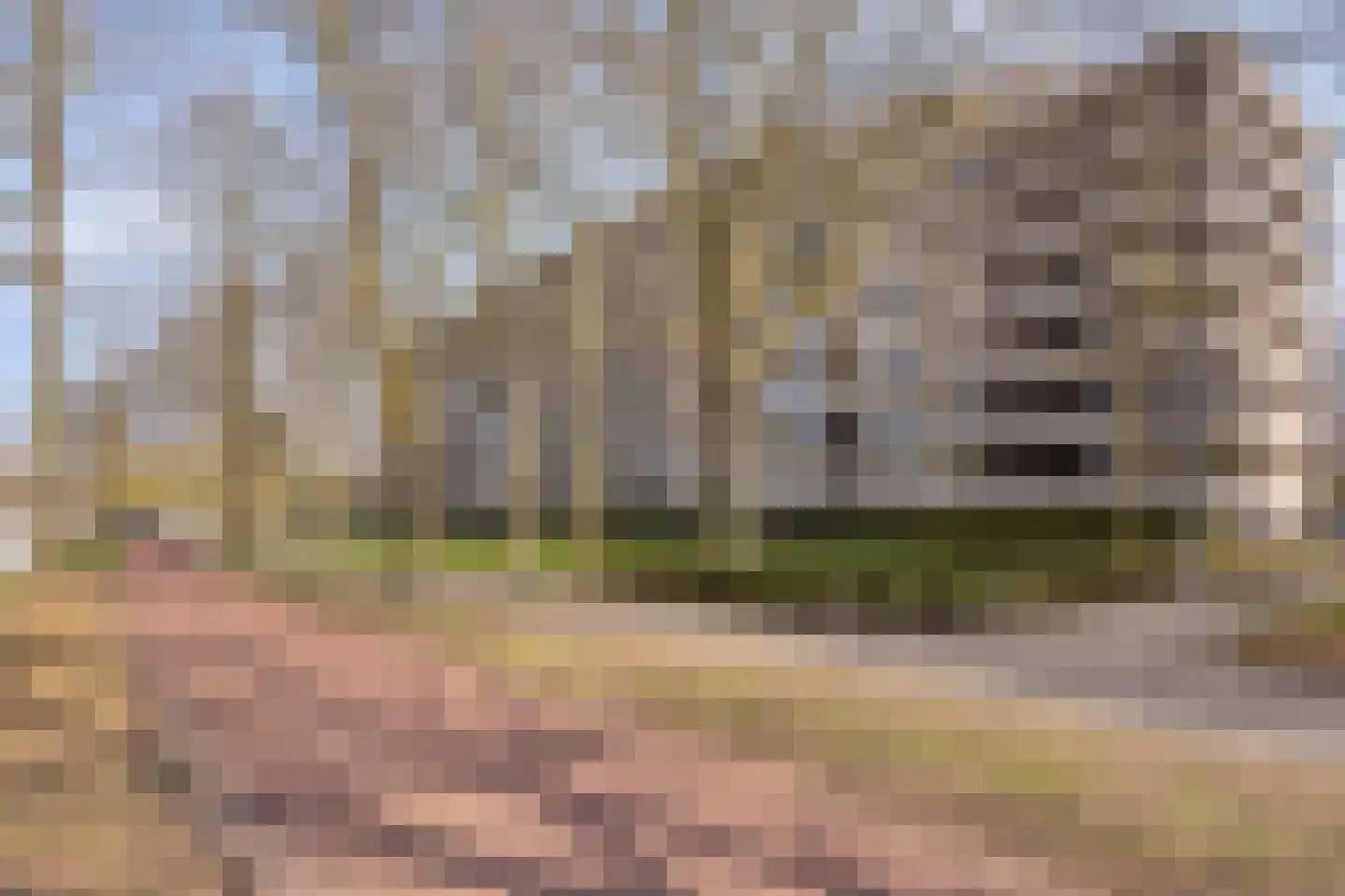 Amundsenlaan 179 Eindhoven