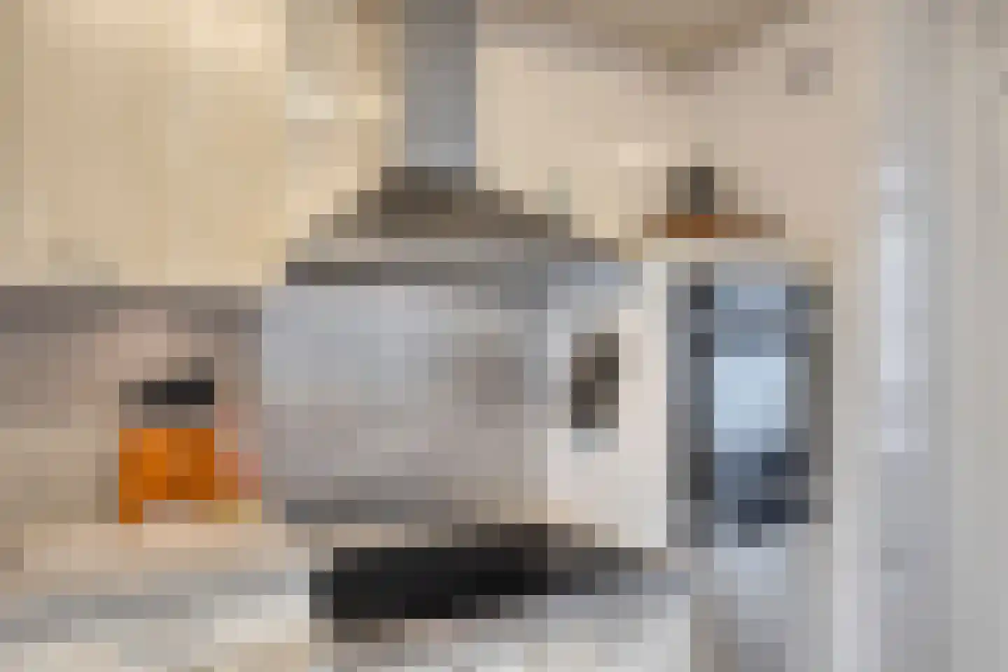 Amundsenlaan 179 Eindhoven thumbnail 27
