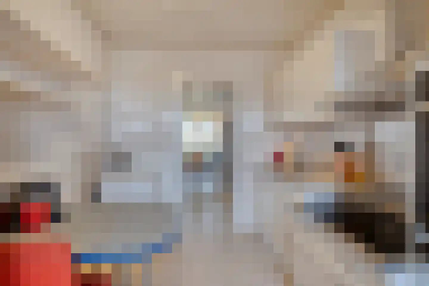 Amundsenlaan 179 Eindhoven thumbnail 28
